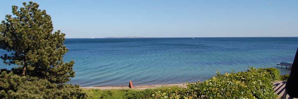 Engelsk på Studieskolen